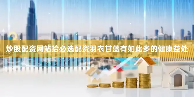 炒股配资网站拾必选配资羽衣甘蓝有如此多的健康益处