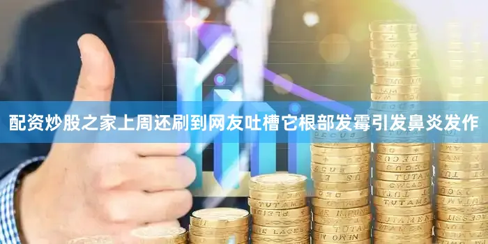 配资炒股之家上周还刷到网友吐槽它根部发霉引发鼻炎发作